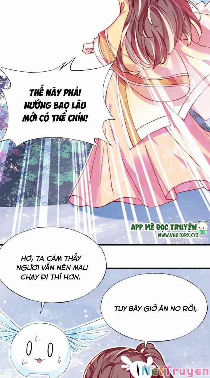 Lại Bị Bệnh Chiều Chuộng Quấn Lấy 0 Ngự thổ tiên tử trang 3