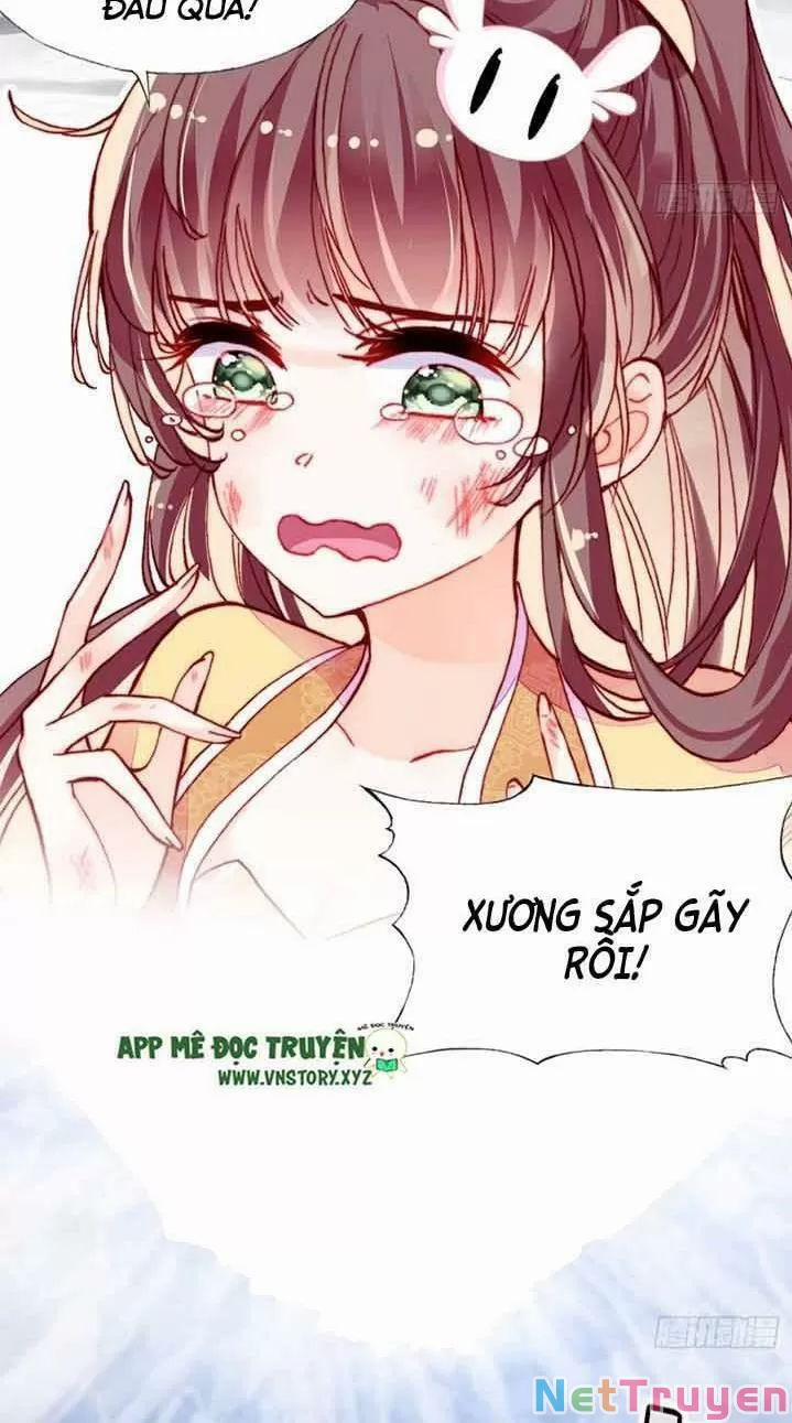 Lại Bị Bệnh Chiều Chuộng Quấn Lấy 0 Ngự thổ tiên tử trang 43