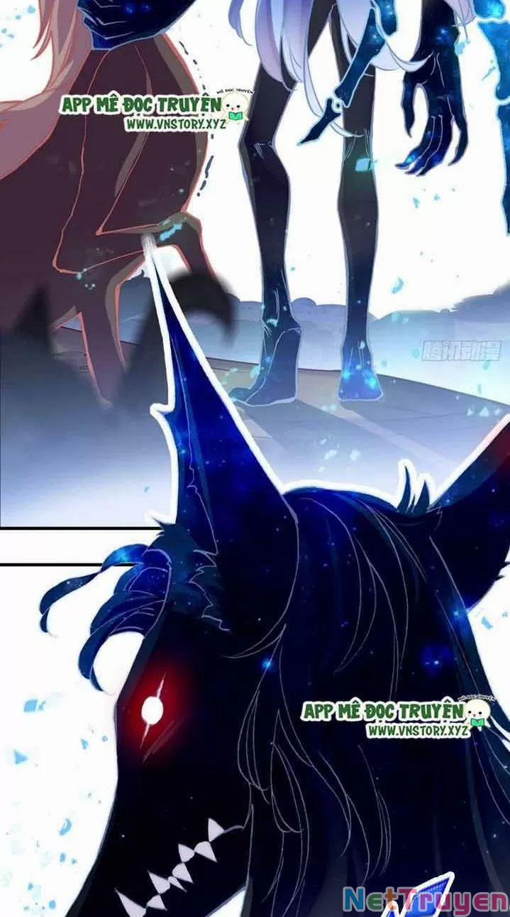 Lại Bị Bệnh Chiều Chuộng Quấn Lấy 0 Ngự thổ tiên tử trang 49