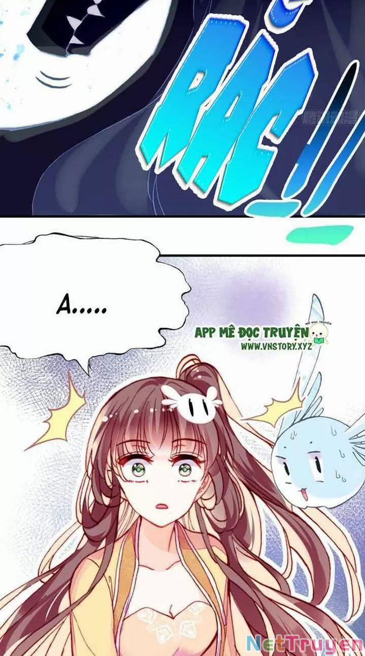 Lại Bị Bệnh Chiều Chuộng Quấn Lấy 0 Ngự thổ tiên tử trang 50