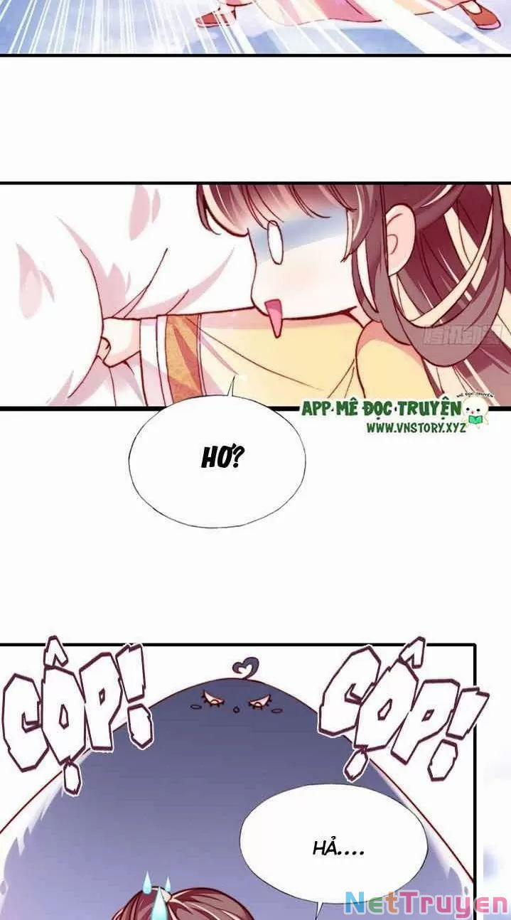 Lại Bị Bệnh Chiều Chuộng Quấn Lấy 0 Ngự thổ tiên tử trang 6