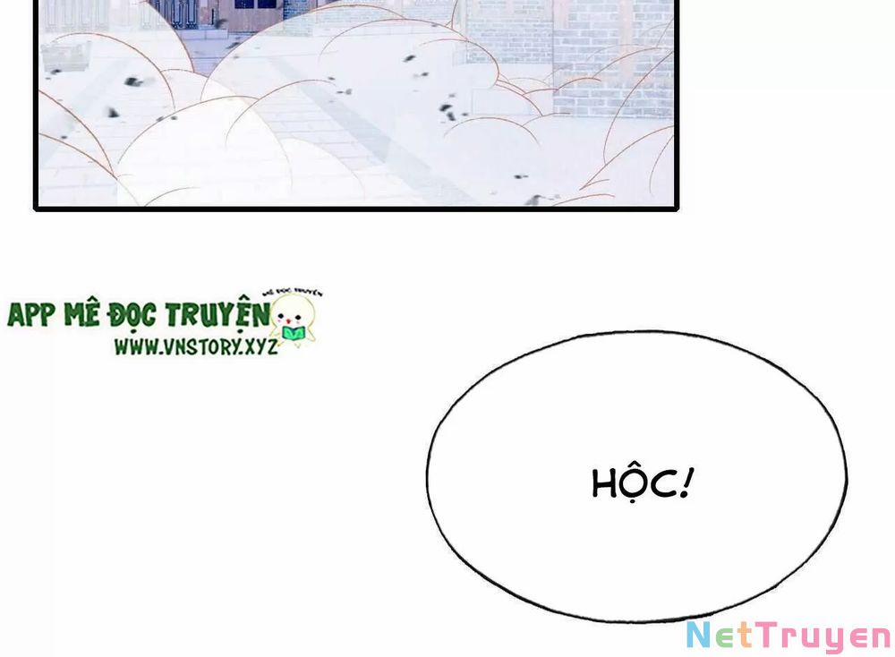 Lại Bị Bệnh Chiều Chuộng Quấn Lấy 0 Nguy cơ bốn phía trang 60