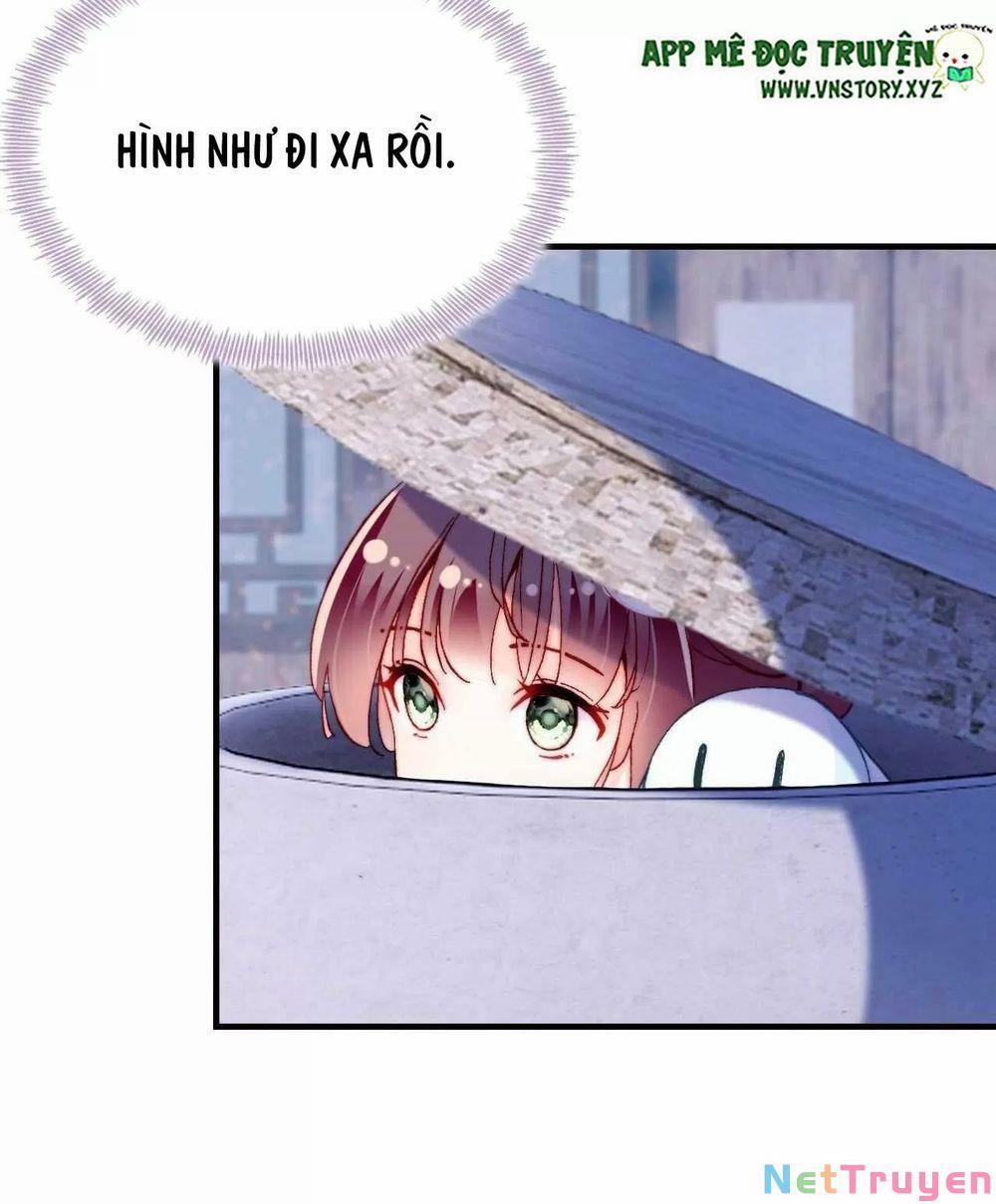 Lại Bị Bệnh Chiều Chuộng Quấn Lấy 0 Nguy cơ bốn phía trang 7