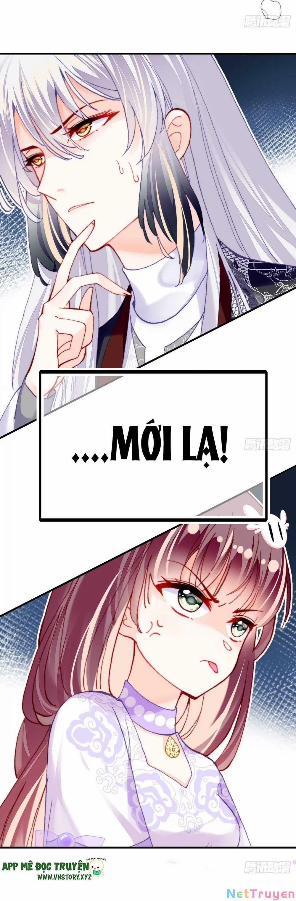 Lại Bị Bệnh Chiều Chuộng Quấn Lấy 0 Nhật ký điều tra của 0 Hoàng trang 7