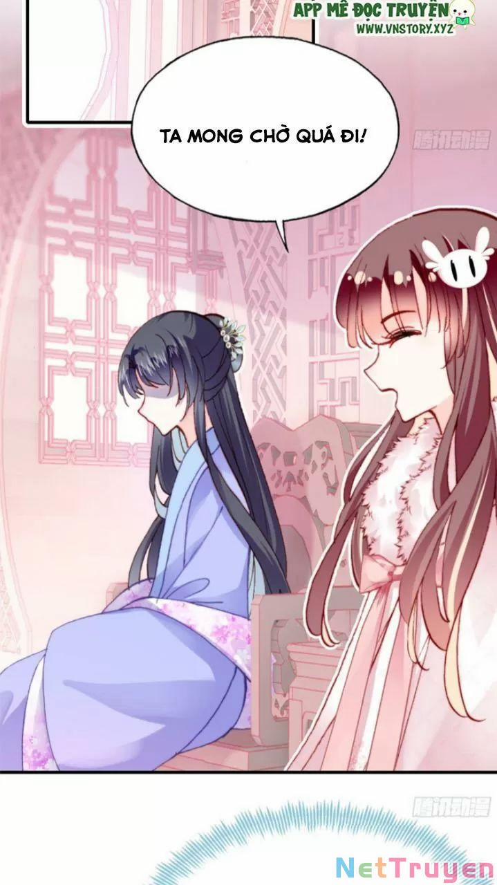 Lại Bị Bệnh Chiều Chuộng Quấn Lấy 0 Nhiều lông quá trang 2