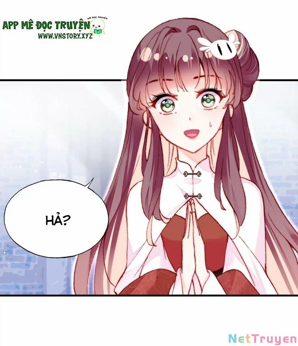 Lại Bị Bệnh Chiều Chuộng Quấn Lấy 0 Say no với cẩu huyết trang 6