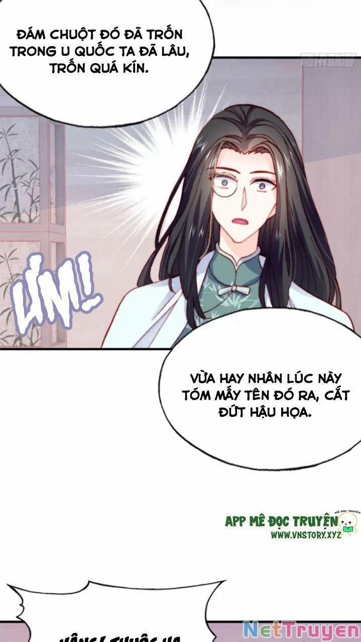 Lại Bị Bệnh Chiều Chuộng Quấn Lấy 0 Sóng ngầm dâng trào trang 35