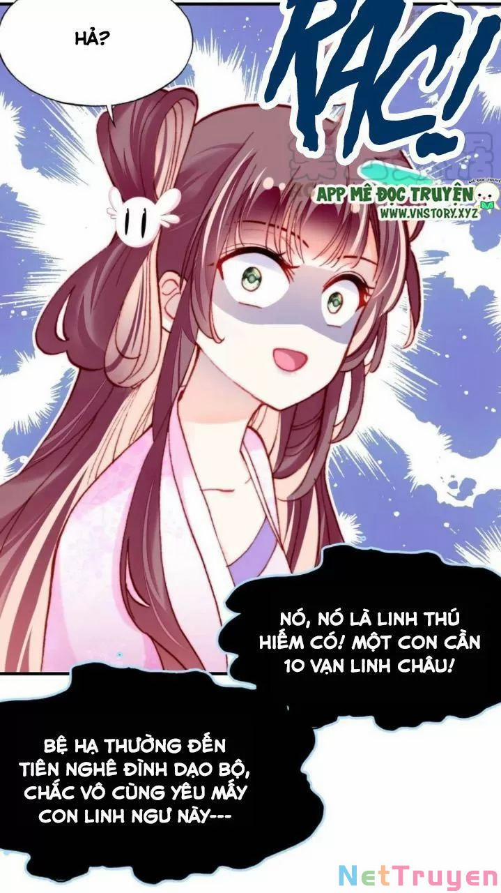 Lại Bị Bệnh Chiều Chuộng Quấn Lấy 0 Thánh ghen và thánh gánh họa trang 11