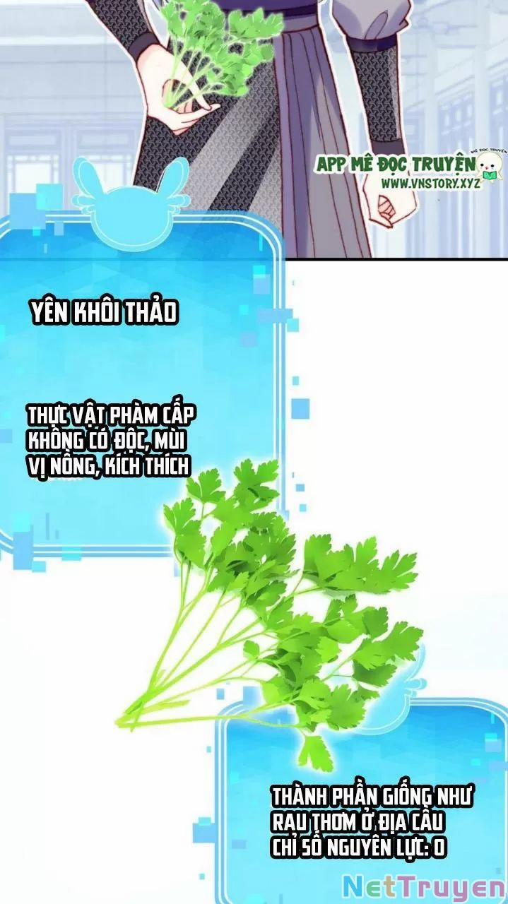 Lại Bị Bệnh Chiều Chuộng Quấn Lấy 0 Thánh ghen và thánh gánh họa trang 4