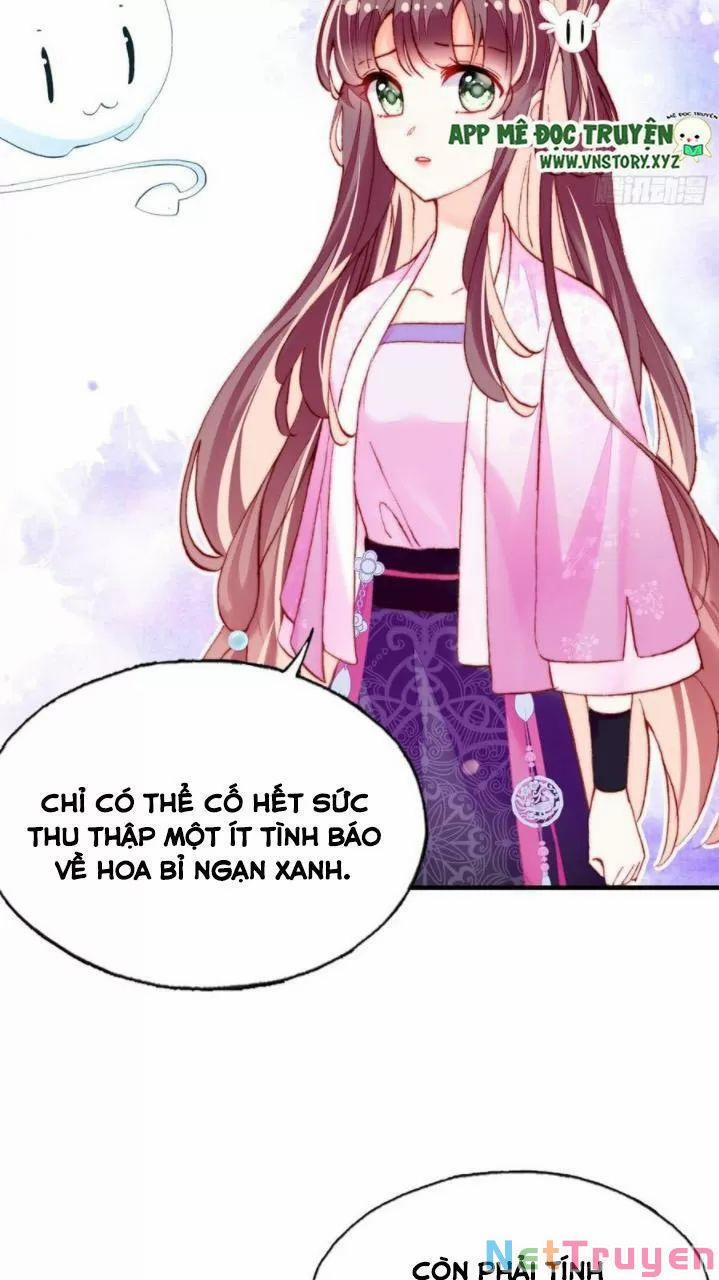 Lại Bị Bệnh Chiều Chuộng Quấn Lấy 0 Thị Tẩm trang 11