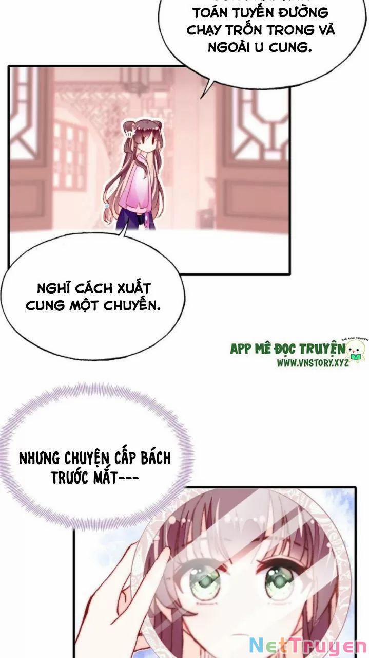 Lại Bị Bệnh Chiều Chuộng Quấn Lấy 0 Thị Tẩm trang 12