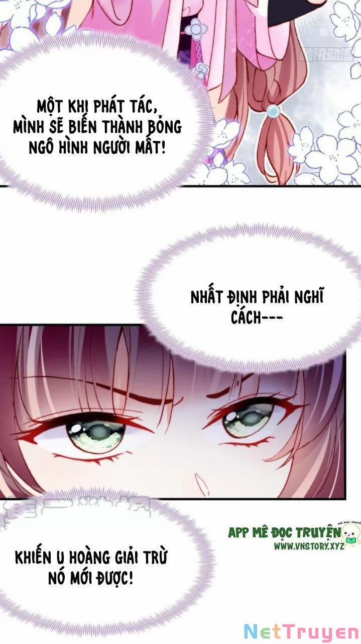 Lại Bị Bệnh Chiều Chuộng Quấn Lấy 0 Thị Tẩm trang 14