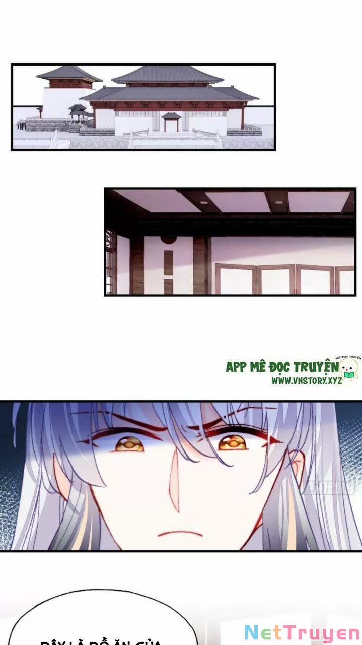 Lại Bị Bệnh Chiều Chuộng Quấn Lấy 0 Thị Tẩm trang 20