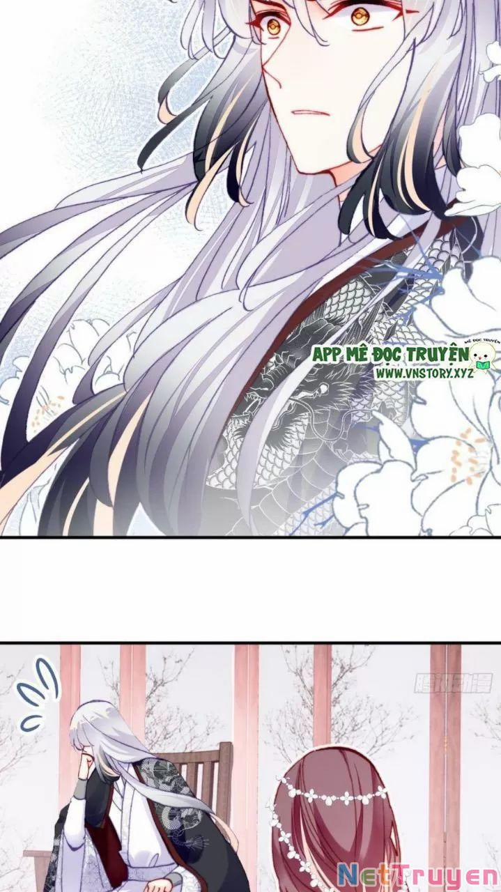 Lại Bị Bệnh Chiều Chuộng Quấn Lấy 0 Thị Tẩm trang 31