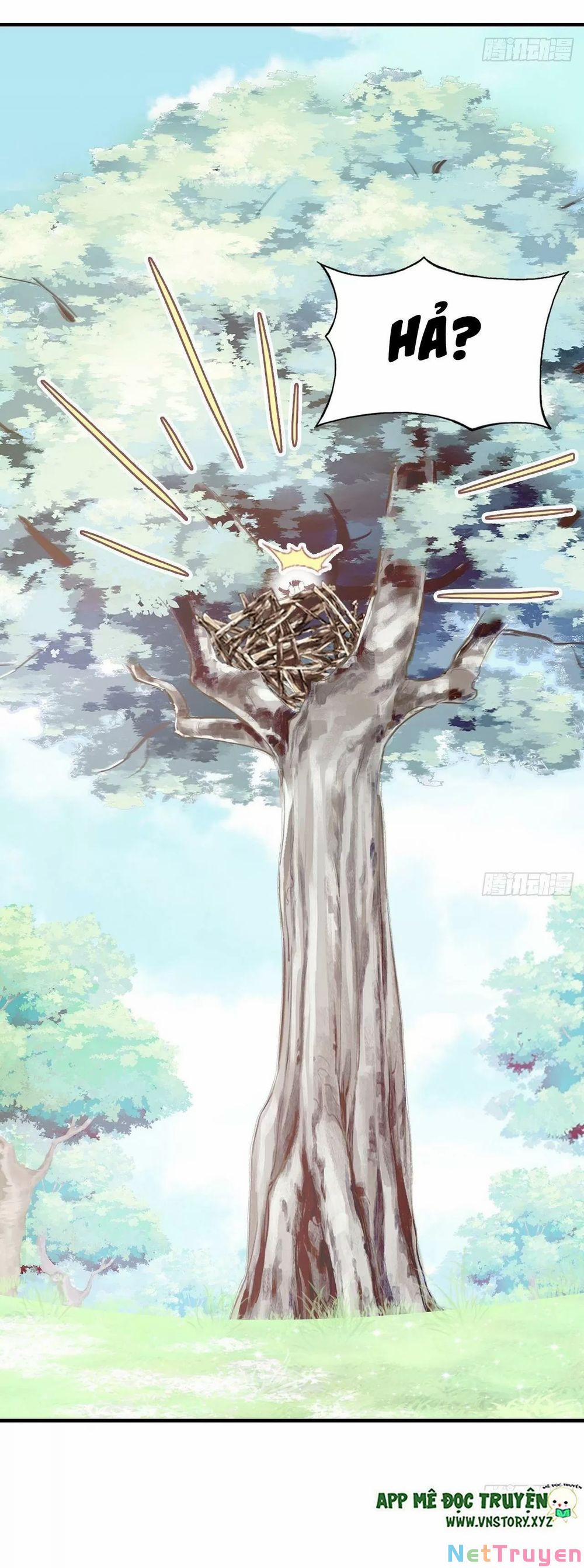 Lại Bị Bệnh Chiều Chuộng Quấn Lấy 0 Tỏ tình trang 13