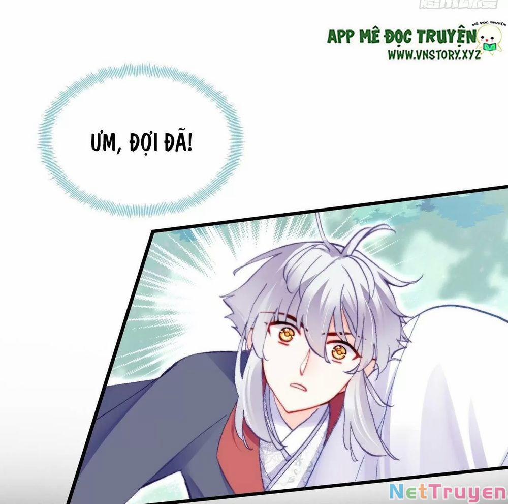 Lại Bị Bệnh Chiều Chuộng Quấn Lấy 0 Tỏ tình trang 33