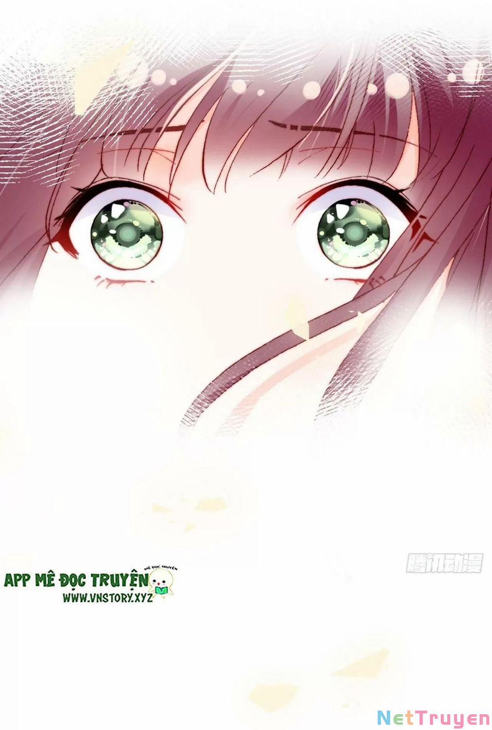 Lại Bị Bệnh Chiều Chuộng Quấn Lấy 0 Tỏ tình trang 6