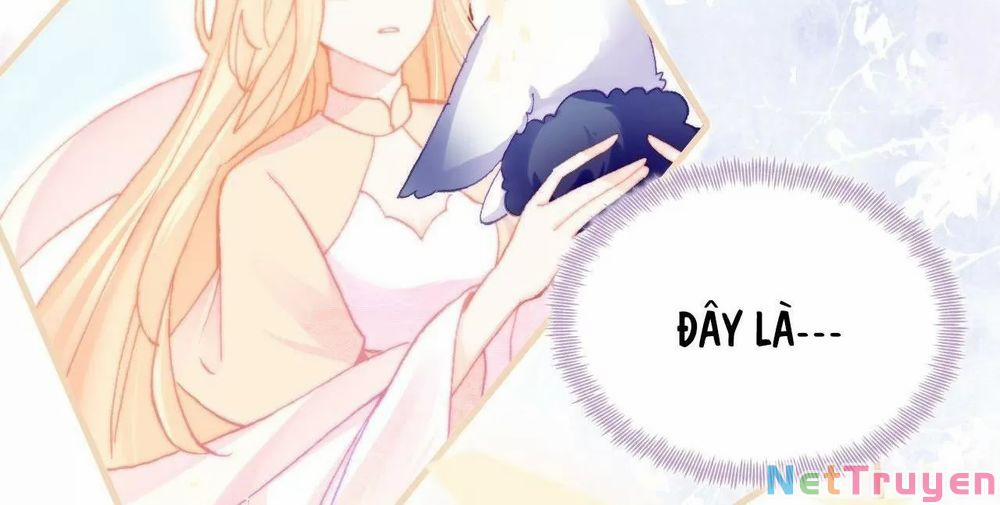 Lại Bị Bệnh Chiều Chuộng Quấn Lấy 0 Tỏ tình trang 8