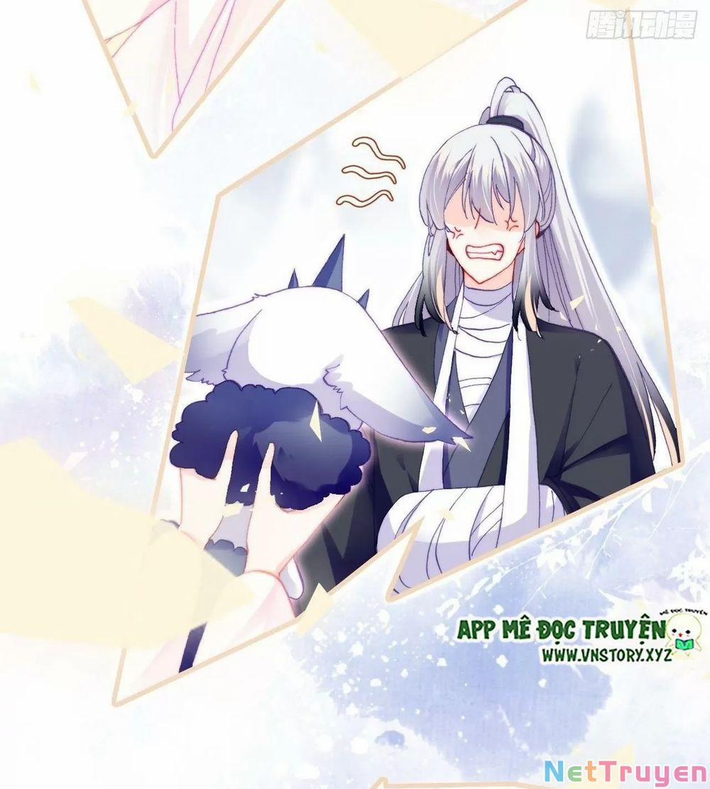 Lại Bị Bệnh Chiều Chuộng Quấn Lấy 0 Tỏ tình trang 9