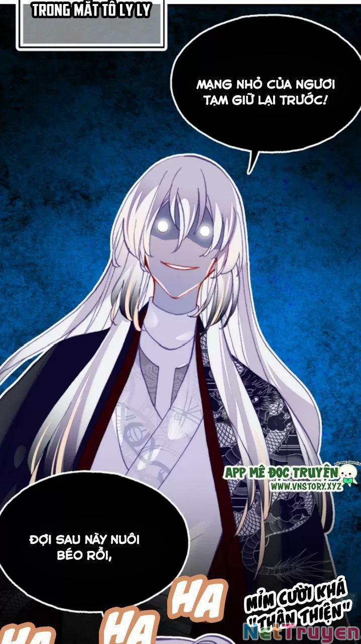 Lại Bị Bệnh Chiều Chuộng Quấn Lấy 0 Trừng phạt trang 14