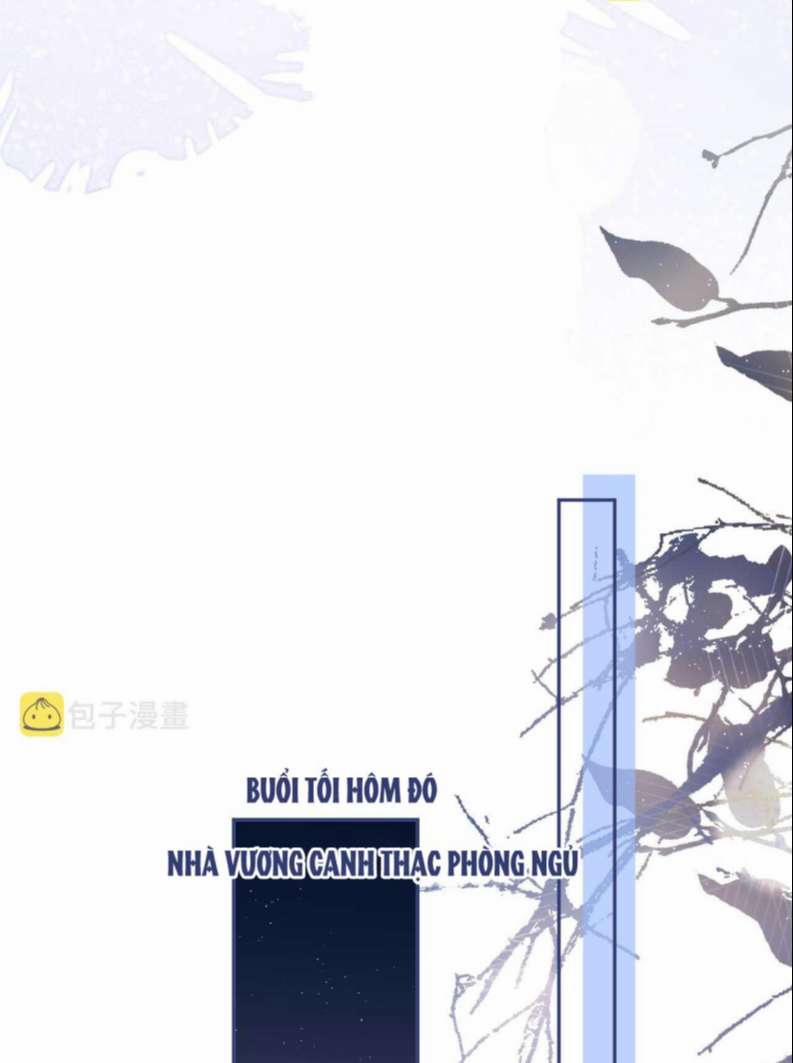 Lại Bị Nam Thần Trêu Lên Hot Search Phiên Ngoại 10 trang 15