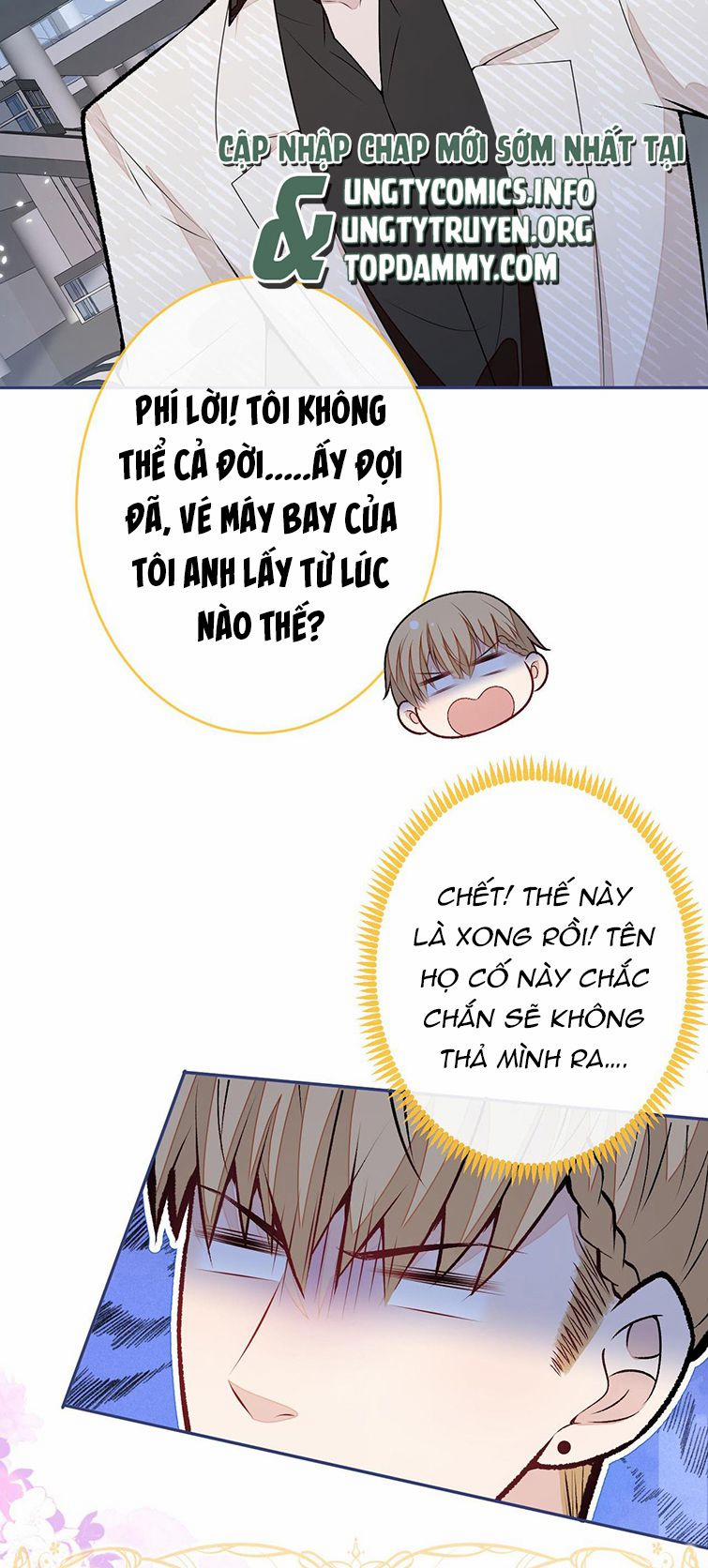 Lại Bị Nam Thần Trêu Lên Hot Search Phiên Ngoại 12 trang 14