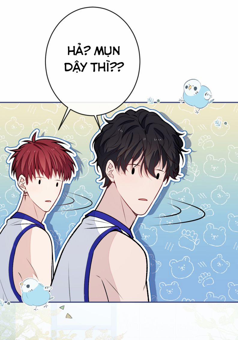 Lại Bị Nam Thần Trêu Lên Hot Search Phiên Ngoại 20 trang 8