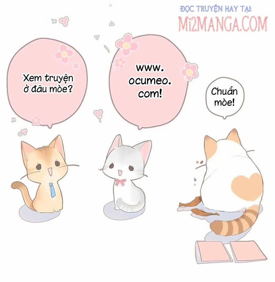 Lại Gặp Được Em 105 trang 11