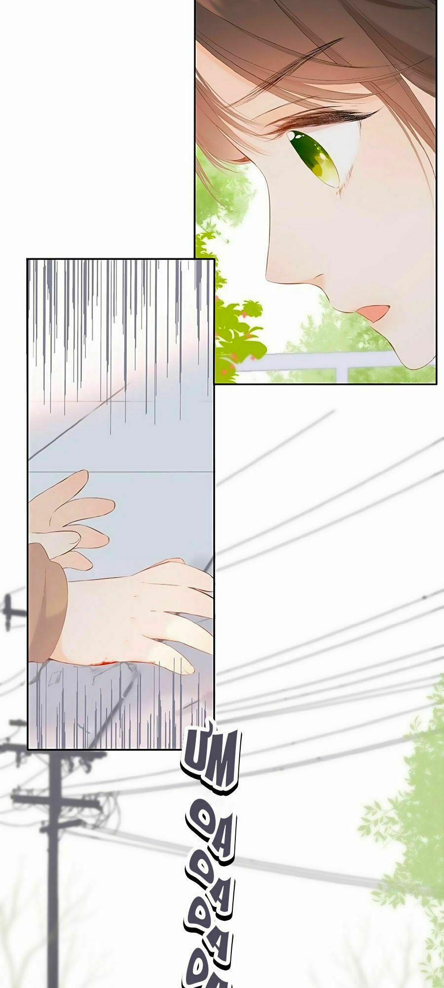 Lại Gặp Được Em 16 trang 12