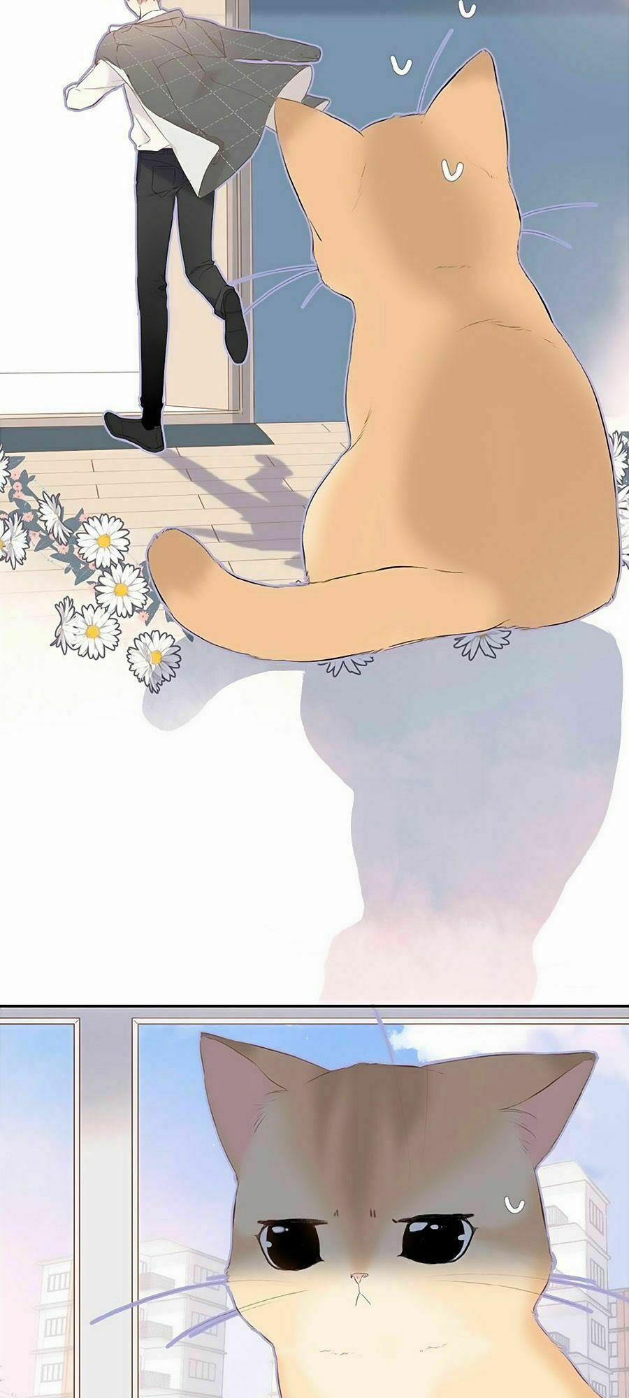 Lại Gặp Được Em 16 trang 36