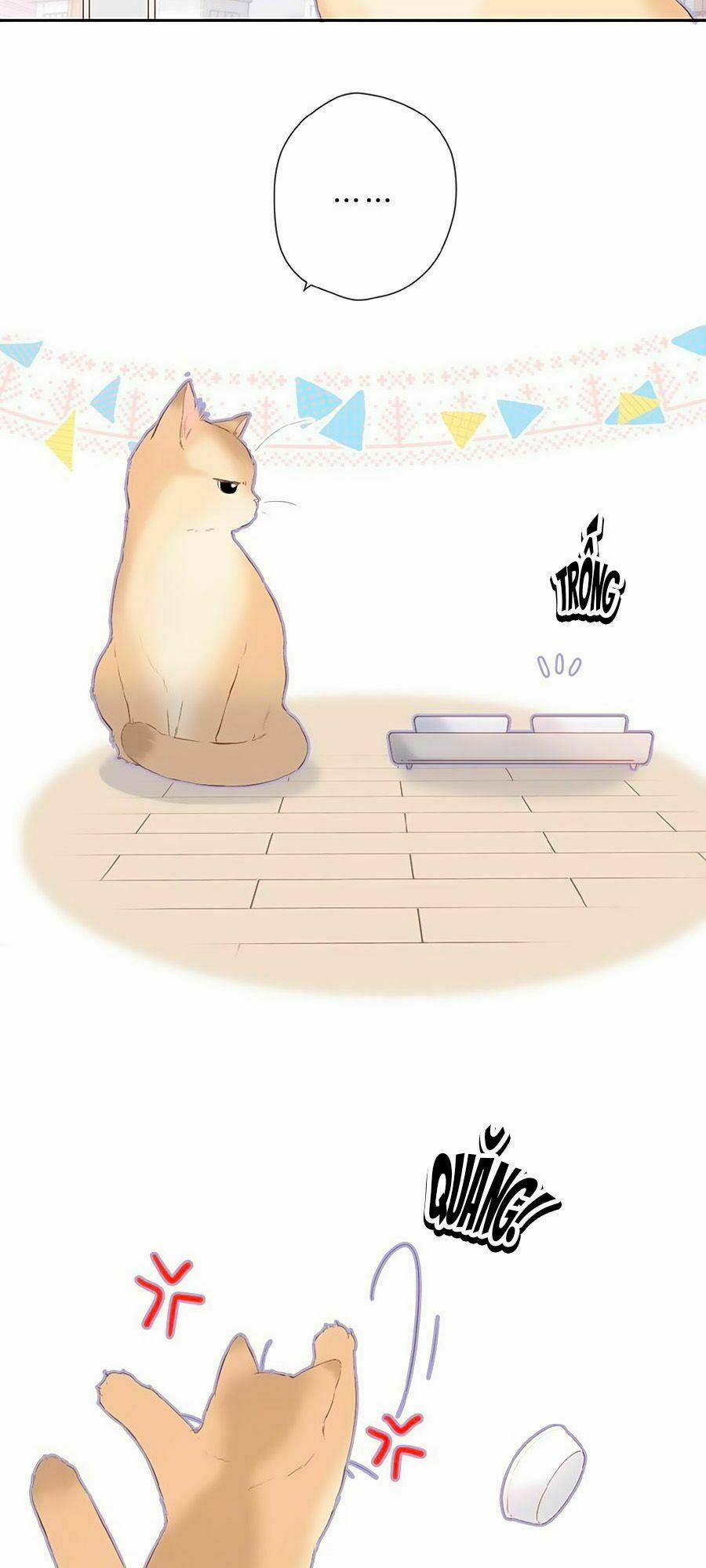 Lại Gặp Được Em 16 trang 37