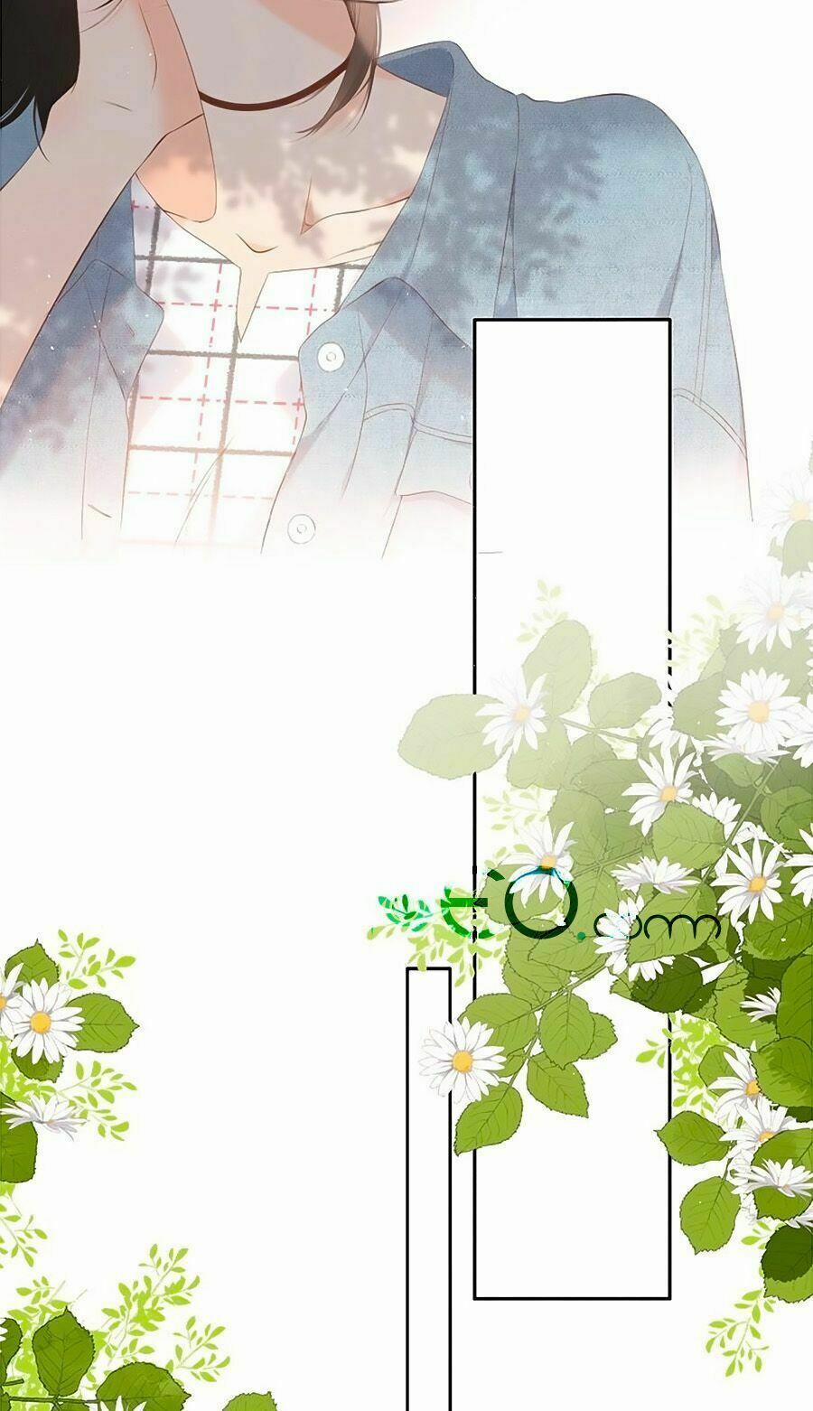 Lại Gặp Được Em 19 trang 11