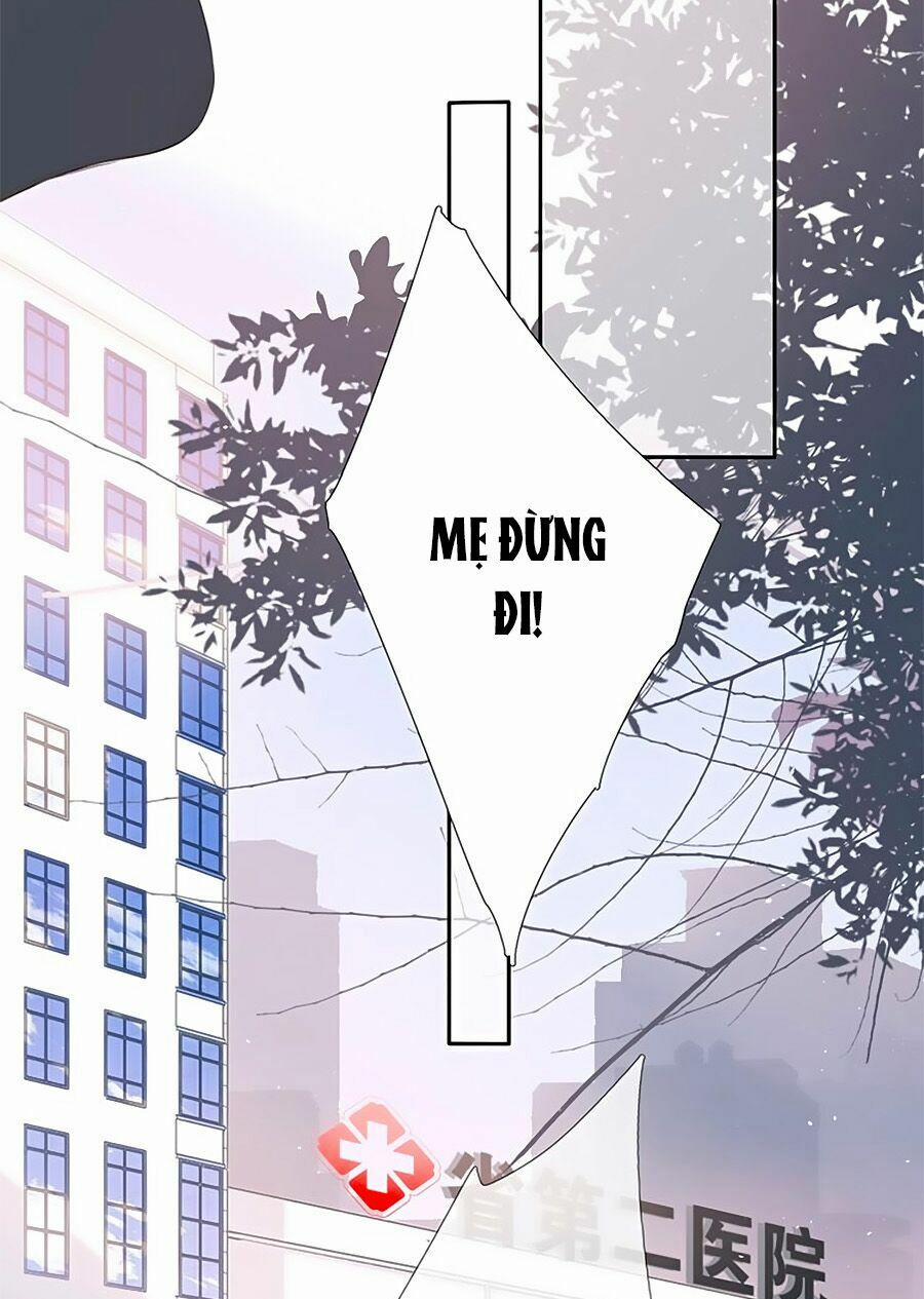 Lại Gặp Được Em 23 trang 13