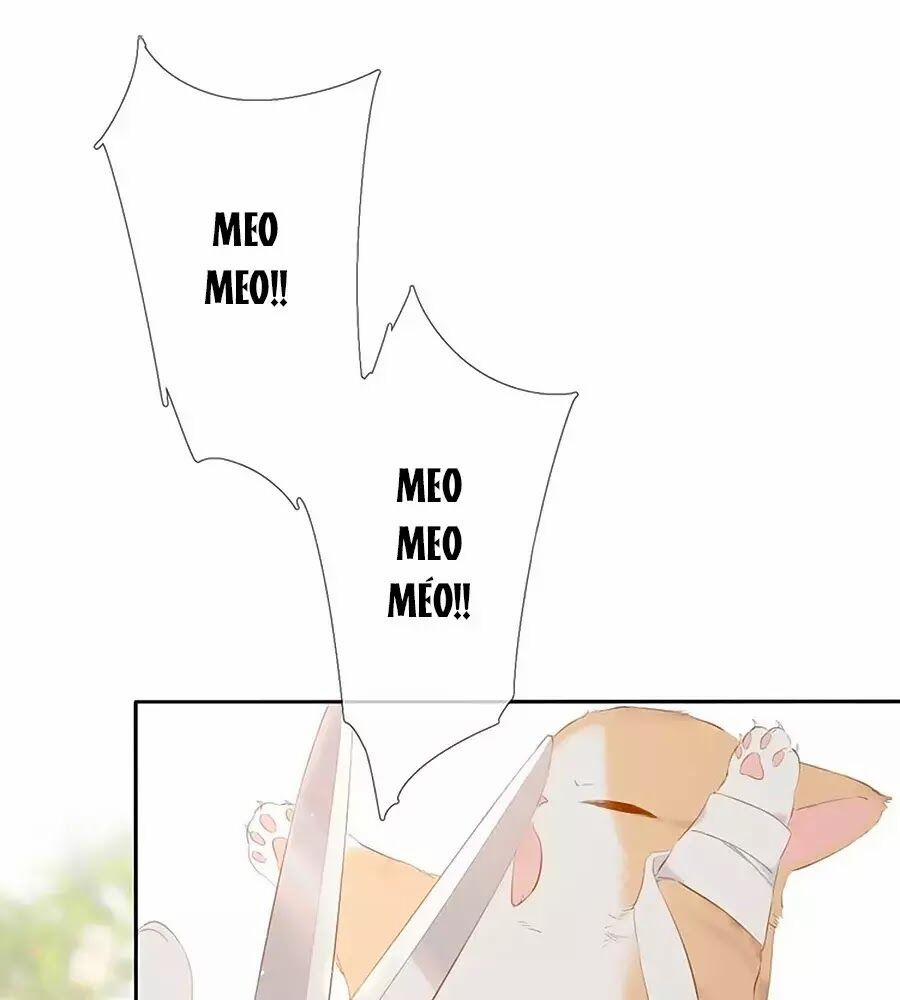 Lại Gặp Được Em 25.6 trang 18