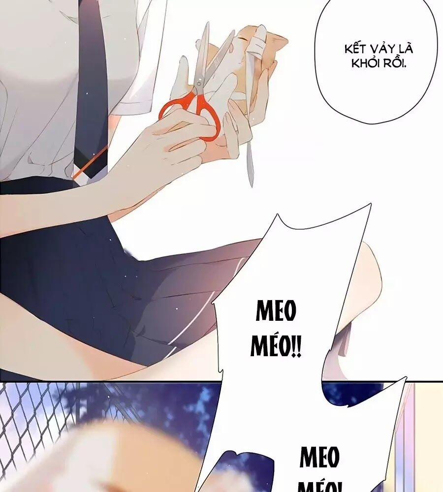 Lại Gặp Được Em 25.6 trang 20