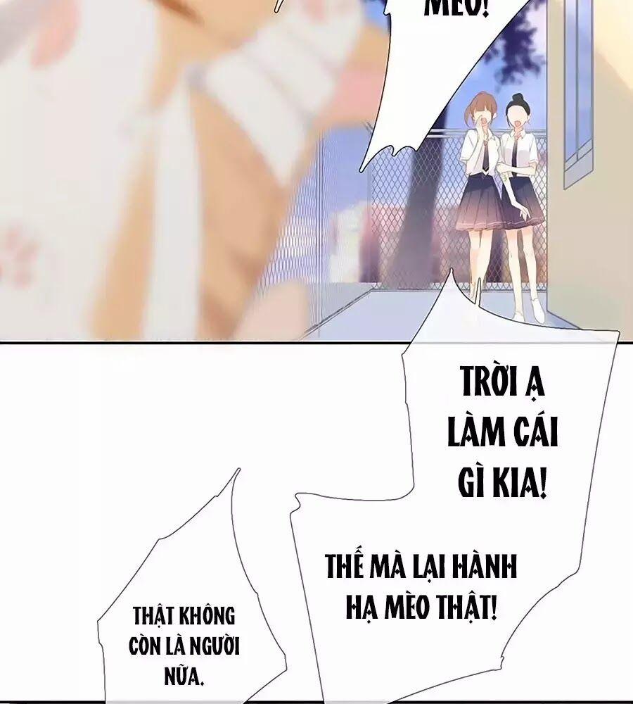 Lại Gặp Được Em 25.6 trang 21