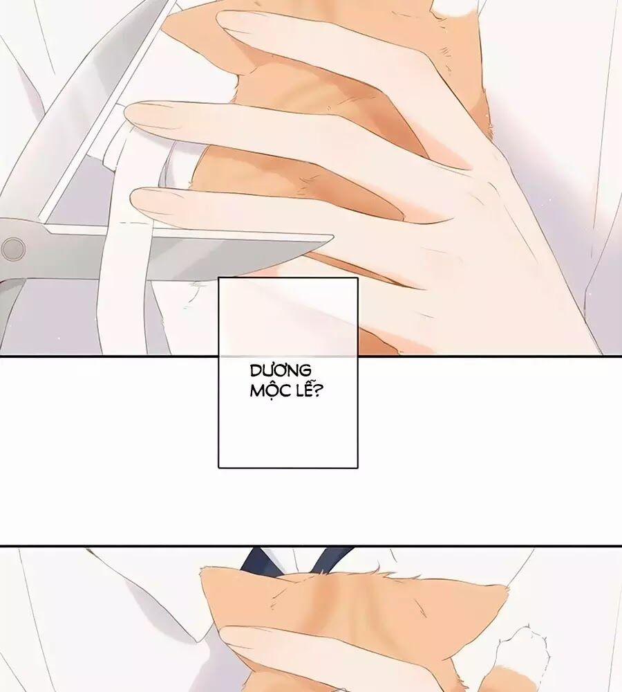 Lại Gặp Được Em 25.6 trang 27