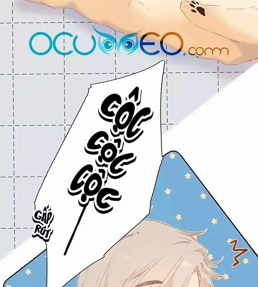 Lại Gặp Được Em 25 trang 48