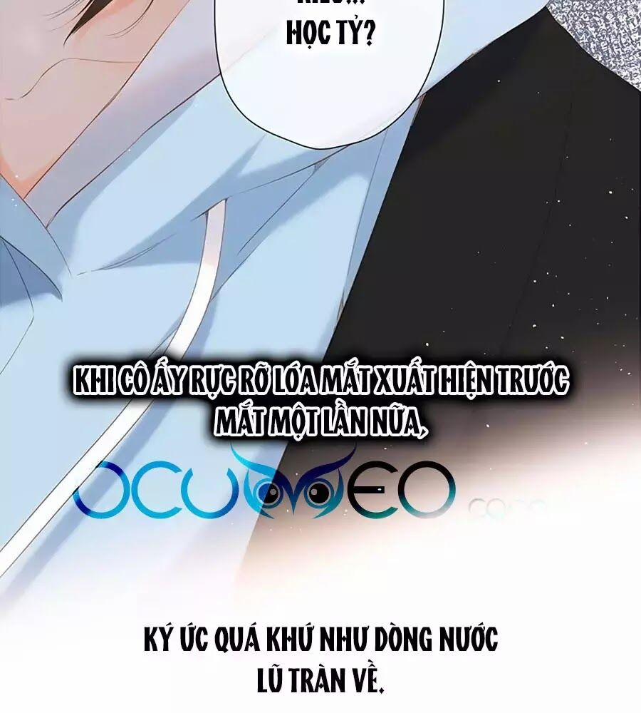 Lại Gặp Được Em 32 trang 61