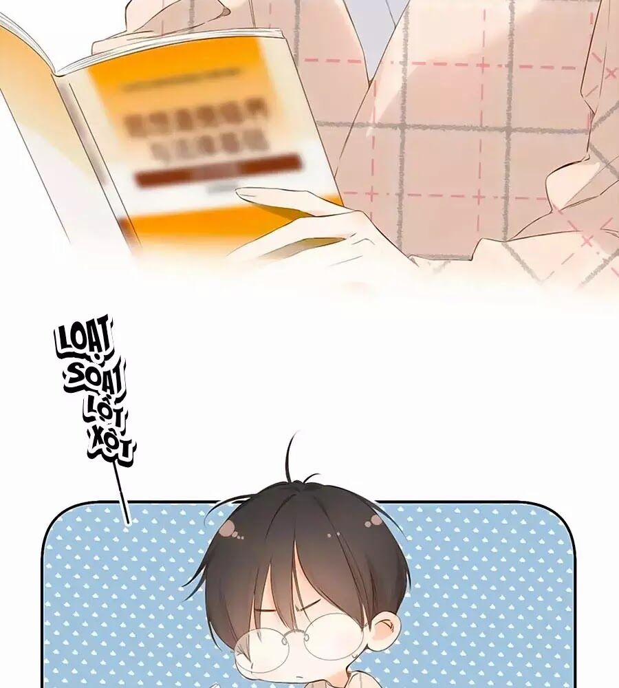 Lại Gặp Được Em 33.5 trang 3