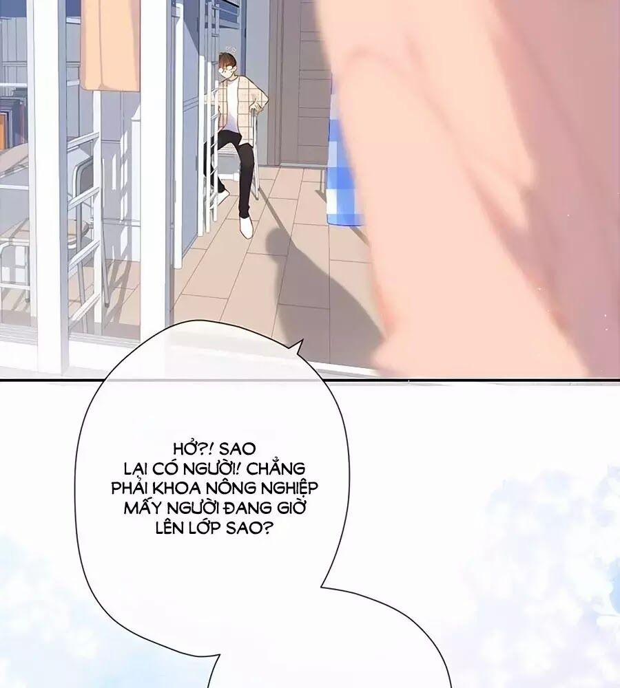 Lại Gặp Được Em 33.5 trang 7