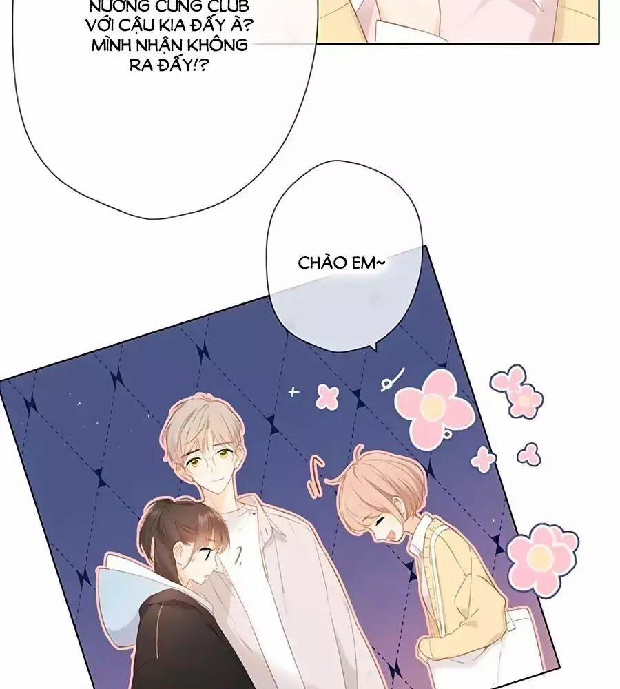 Lại Gặp Được Em 33 trang 14