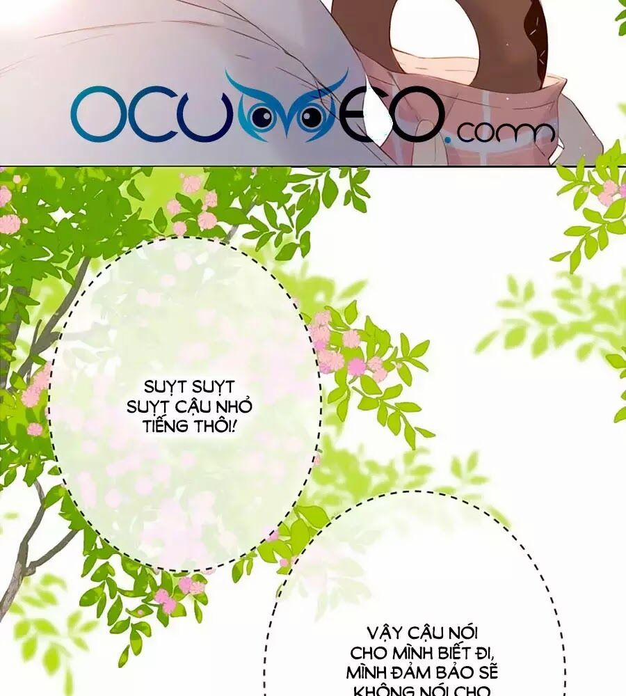 Lại Gặp Được Em 33 trang 2