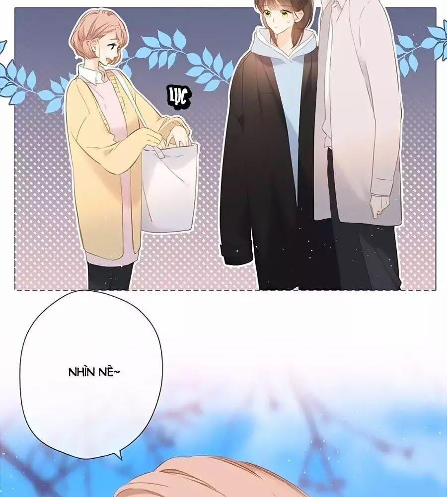 Lại Gặp Được Em 33 trang 24