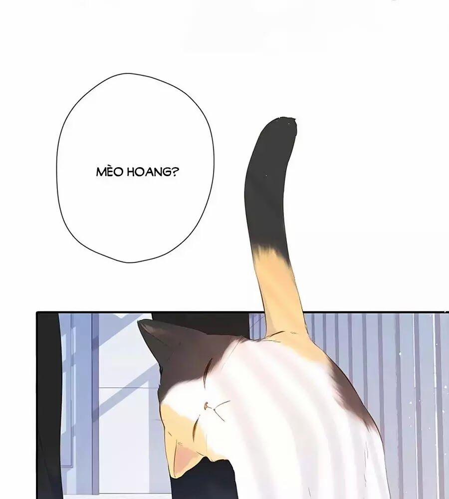 Lại Gặp Được Em 35 trang 2