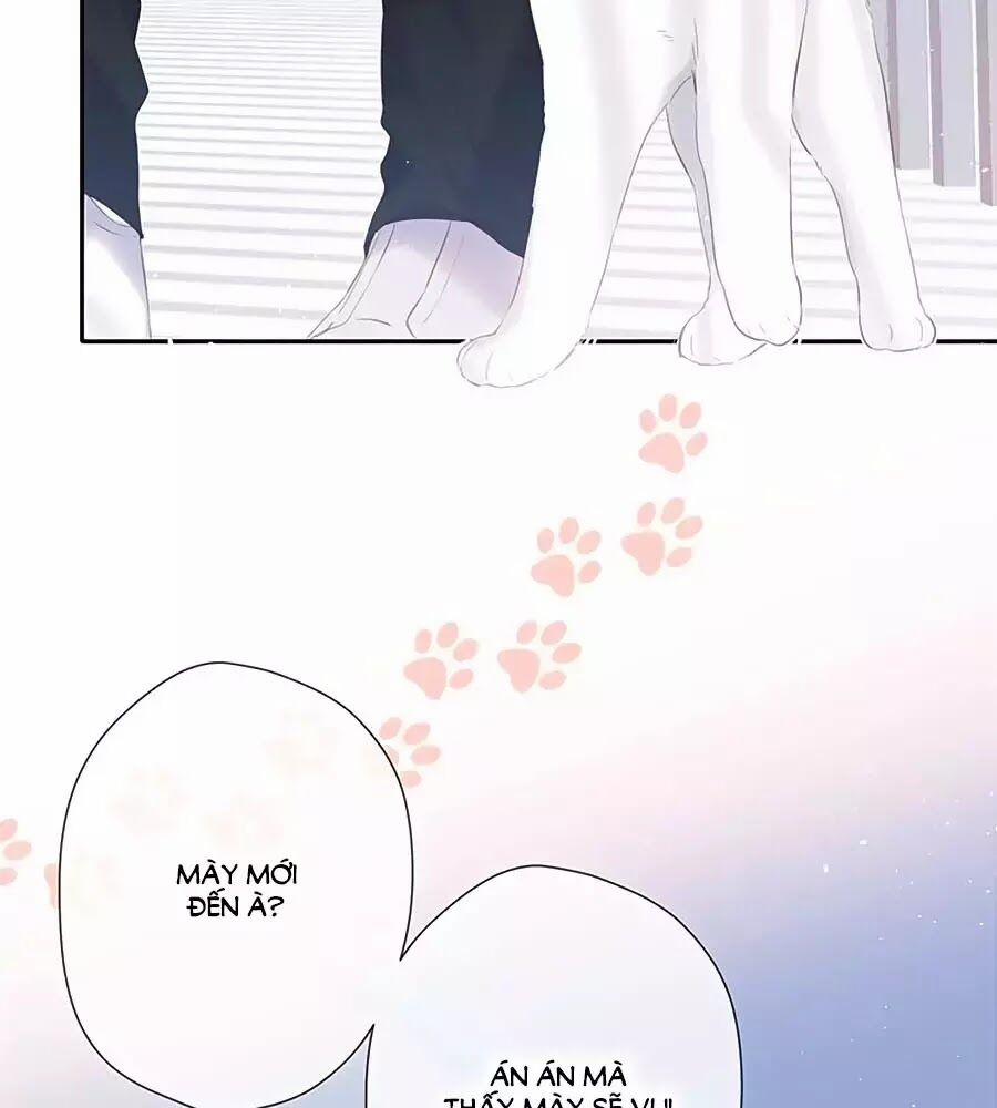 Lại Gặp Được Em 35 trang 3