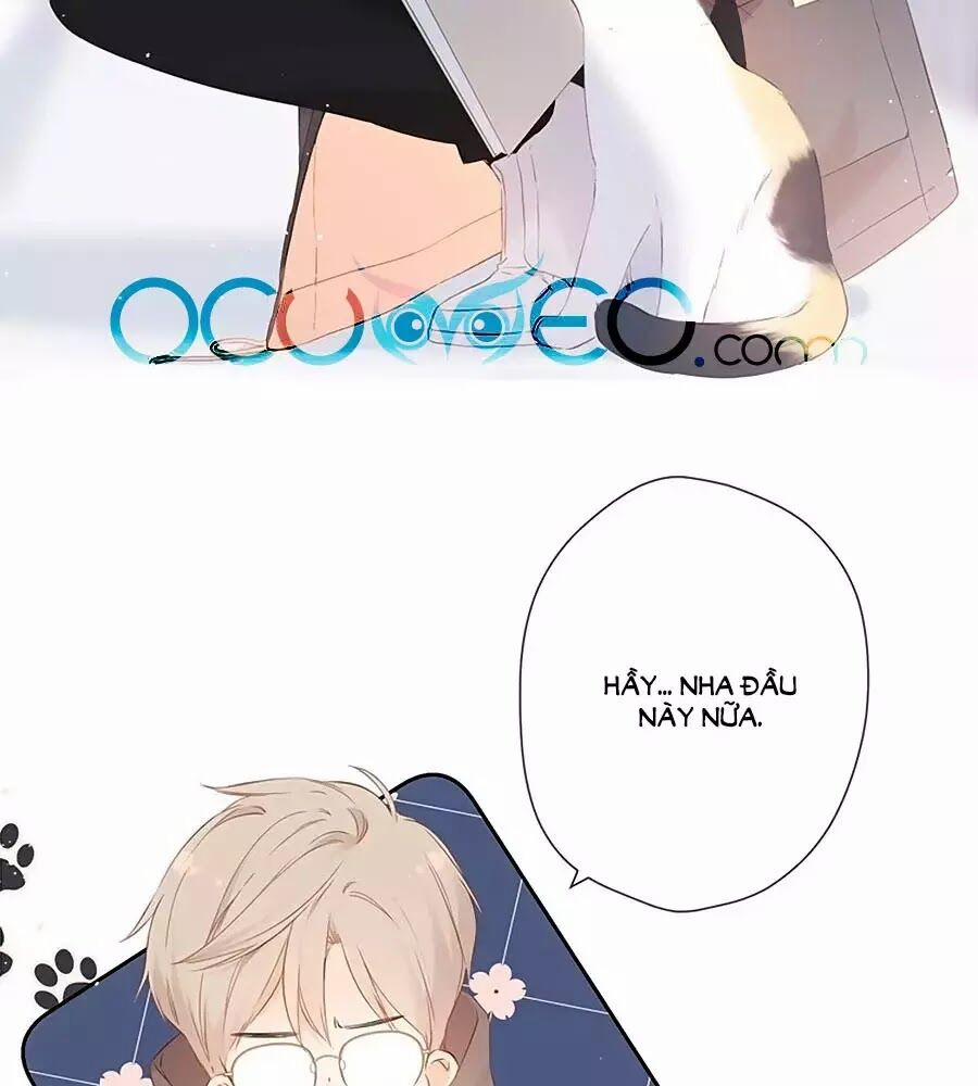 Lại Gặp Được Em 35 trang 5