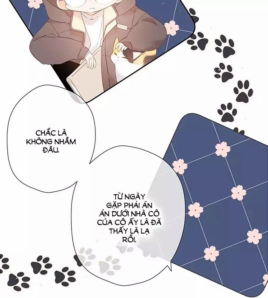 Lại Gặp Được Em 35 trang 6