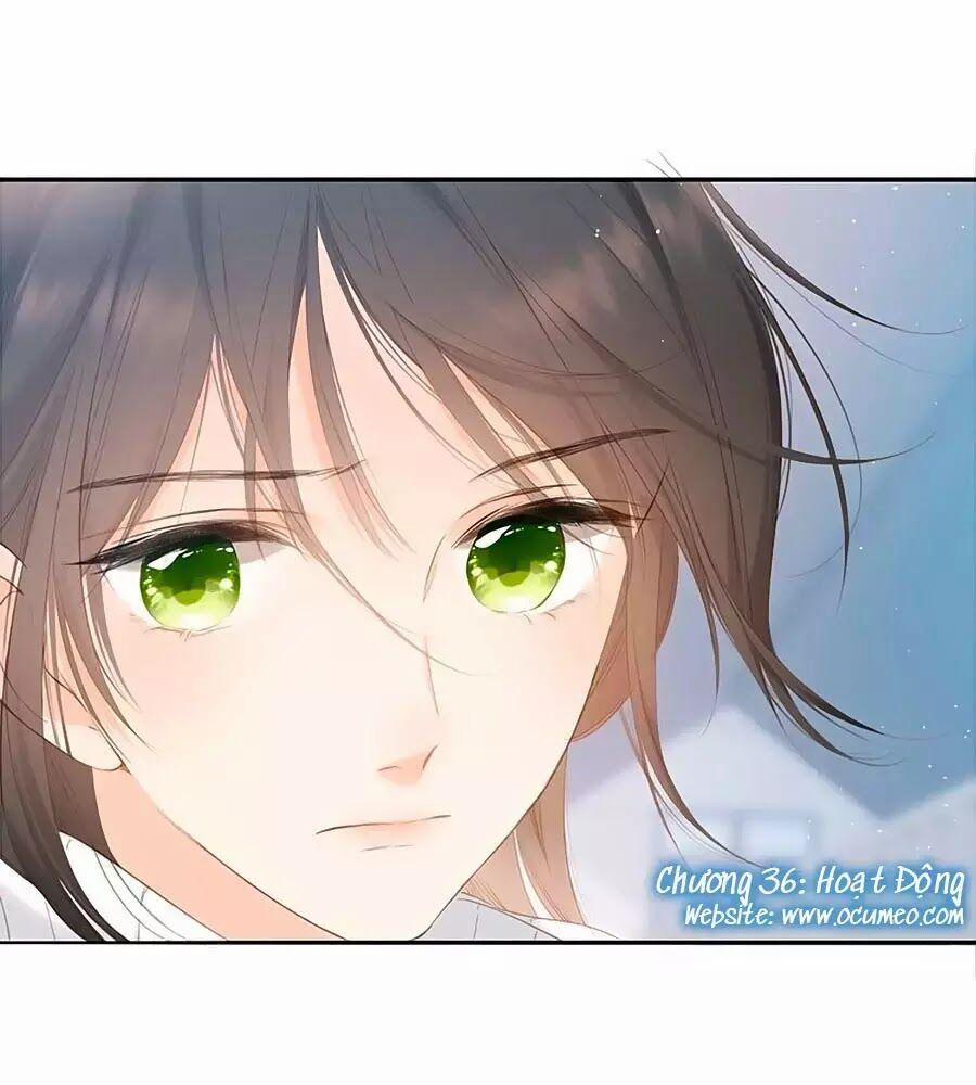 Lại Gặp Được Em 36 trang 0