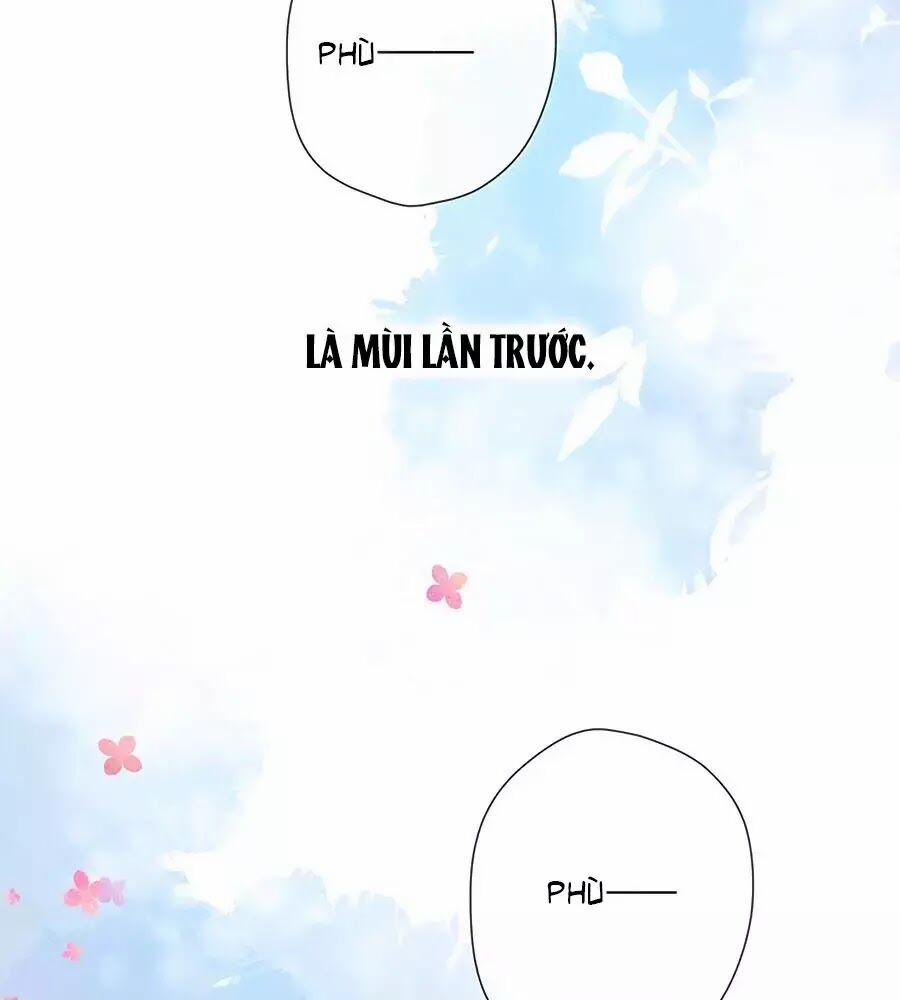 Lại Gặp Được Em 39 trang 15